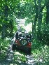 Gino on Stone Camp Rd